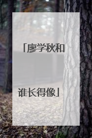 廖学秋和谁长得像