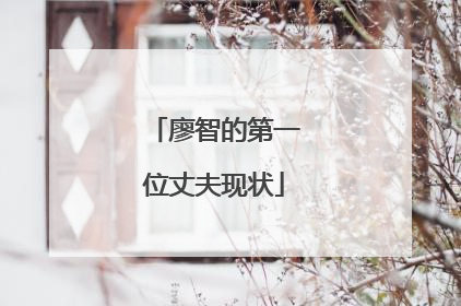 廖智的第一位丈夫现状