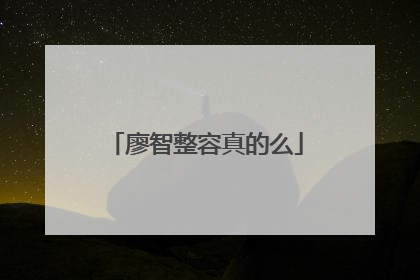 廖智整容真的么