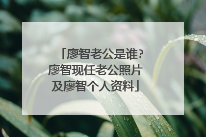 廖智老公是谁?廖智现任老公照片及廖智个人资料