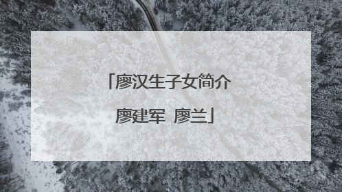 廖汉生子女简介 廖建军 廖兰