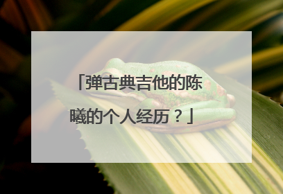 弹古典吉他的陈曦的个人经历？