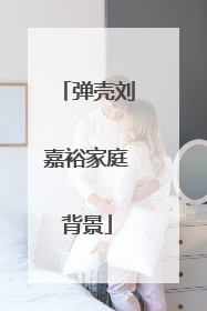 弹壳刘嘉裕家庭背景