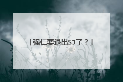 强仁要退出SJ了？