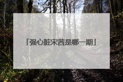 强心脏宋茜是哪一期