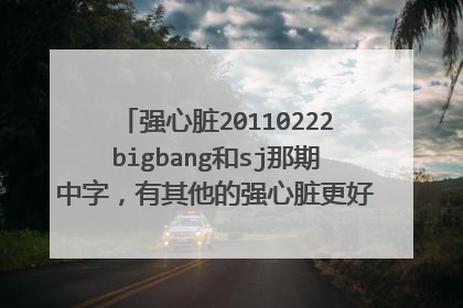 强心脏20110222bigbang和sj那期中字，有其他的强心脏更好，多发多给分哦！