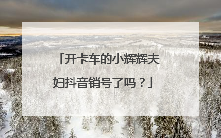 开卡车的小辉辉夫妇抖音销号了吗?