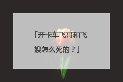 开卡车飞哥和飞嫂怎么死的?
