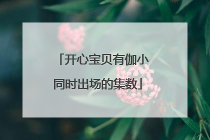开心宝贝有伽小同时出场的集数