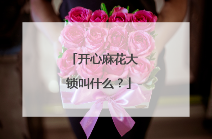 开心麻花大锁叫什么？