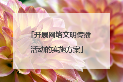 开展网络文明传播活动的实施方案