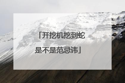 开挖机挖到蛇是不是范忌讳