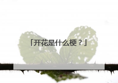 开花是什么梗？