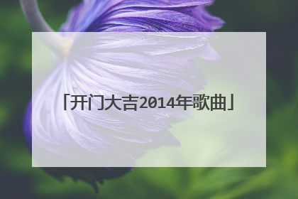 开门大吉2014年歌曲