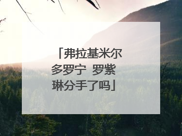 弗拉基米尔多罗宁 罗紫琳分手了吗