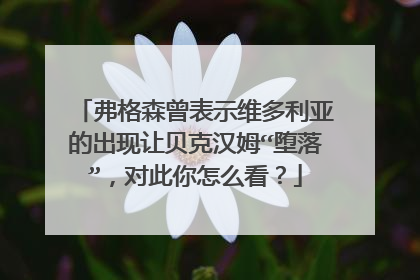 弗格森曾表示维多利亚的出现让贝克汉姆“堕落”，对此你怎么看？