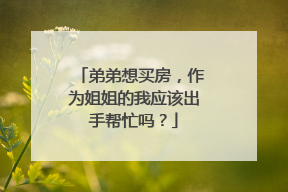 弟弟想买房,作为姐姐的我应该出手帮忙吗?