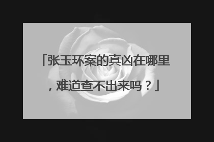 张玉环案的真凶在哪里，难道查不出来吗？