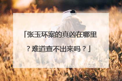 张玉环案的真凶在哪里？难道查不出来吗？