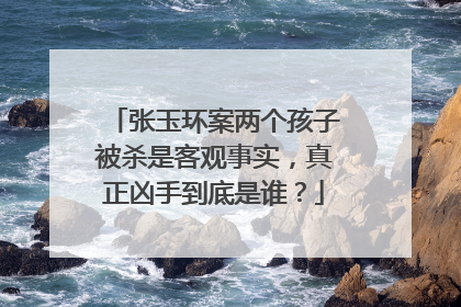 张玉环案两个孩子被杀是客观事实，真正凶手到底是谁？
