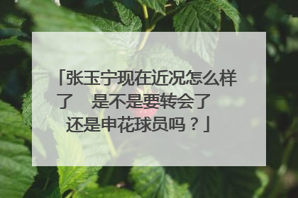 张玉宁现在近况怎么样了  是不是要转会了 还是申花球员吗？