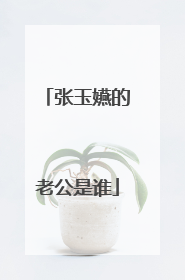 张玉嬿的老公是谁