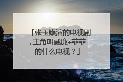 张玉嬿演的电视剧,主角叫威廉+菲菲的什么电视?