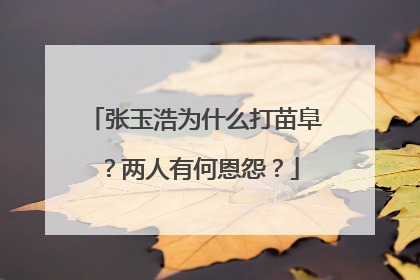 张玉浩为什么打苗阜?两人有何恩怨?