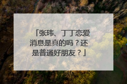 张玮、丁丁恋爱消息是真的吗？还是普通好朋友？
