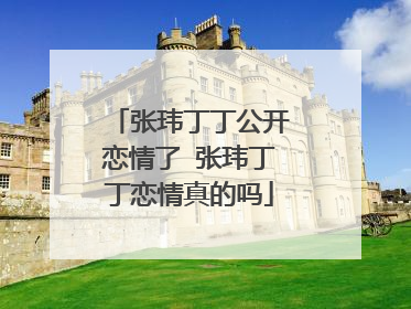 张玮丁丁公开恋情了 张玮丁丁恋情真的吗