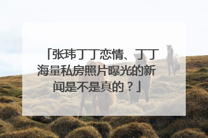 张玮丁丁恋情、丁丁海量私房照片曝光的新闻是不是真的？