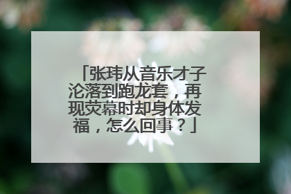 张玮从音乐才子沦落到跑龙套，再现荧幕时却身体发福，怎么回事？