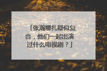 张瀚娜扎疑似复合，他们一起出演过什么电视剧？