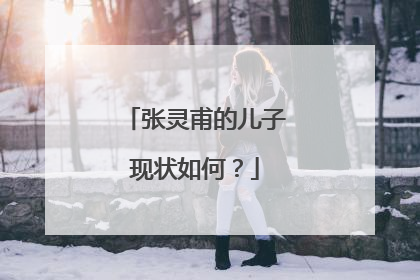 张灵甫的儿子现状如何?