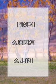 张炬什么原因怎么走的