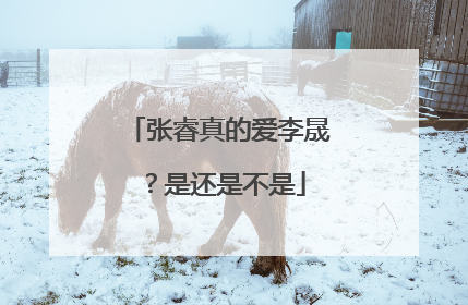 张睿真的爱李晟？是还是不是