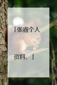 张睿个人资料、