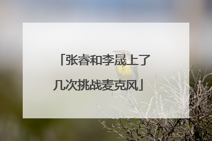 张睿和李晟上了几次挑战麦克风