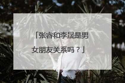 张睿和李晟是男女朋友关系吗?