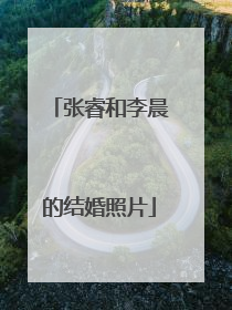 张睿和李晨的结婚照片