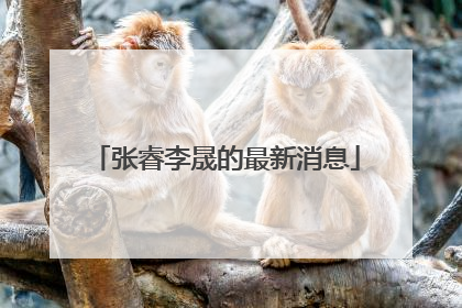 张睿李晟的最新消息