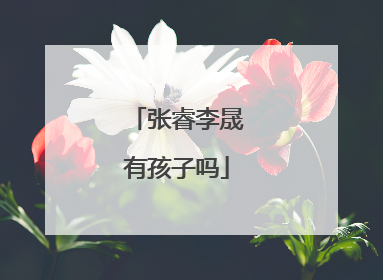 张睿李晟有孩子吗