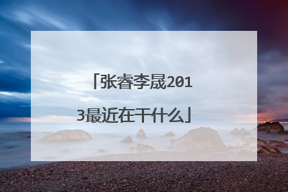 张睿李晟2013最近在干什么