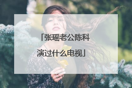 张瑶老公陈科演过什么电视