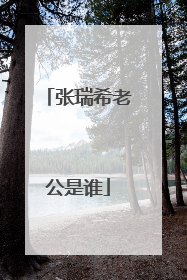 张瑞希老公是谁