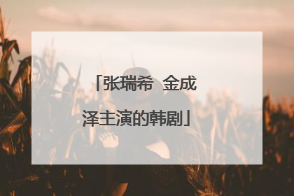 张瑞希 金成泽主演的韩剧