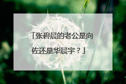 张碧晨的老公是向佐还是华晨宇？