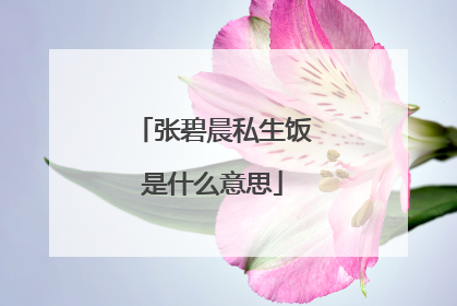 张碧晨私生饭是什么意思