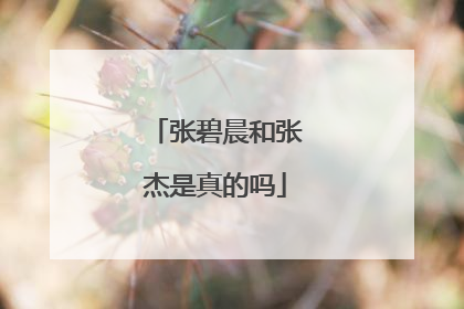 张碧晨和张杰是真的吗