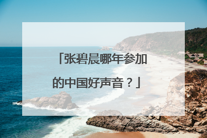 张碧晨哪年参加的中国好声音？
